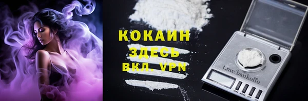 a pvp Пересвет