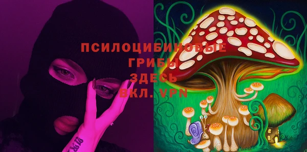 меф Алексин